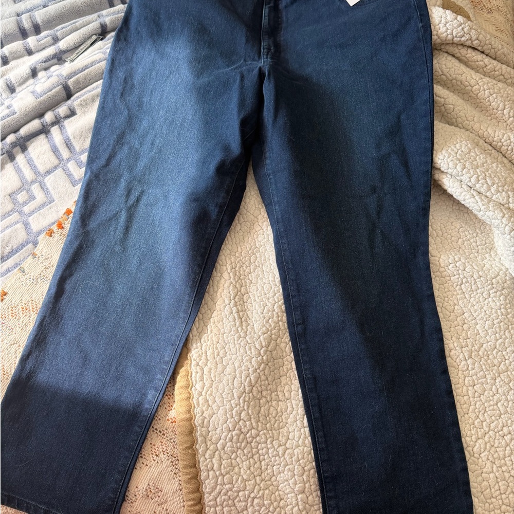 Macys Style & Co slim fit 16wp fortress jeans